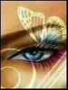 Avatar Butterfly Eye Image